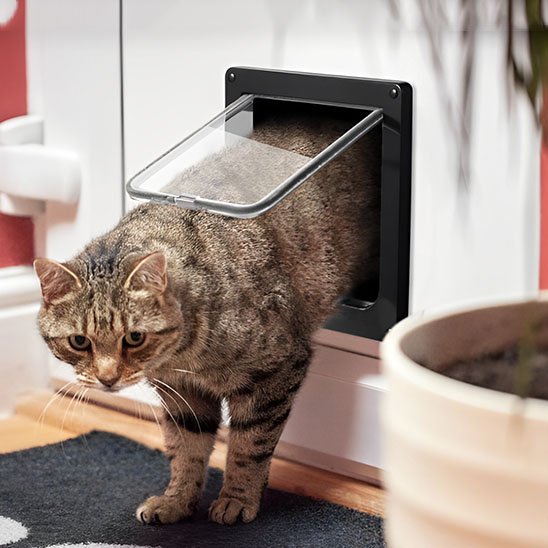 Chatière chat vue complète