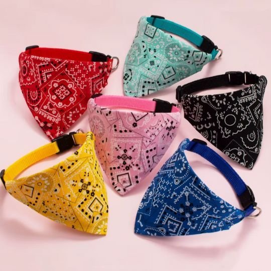 Collier chat bandana 6 couleurs rouge jaune rose turquoise noir bleu motifs paisley