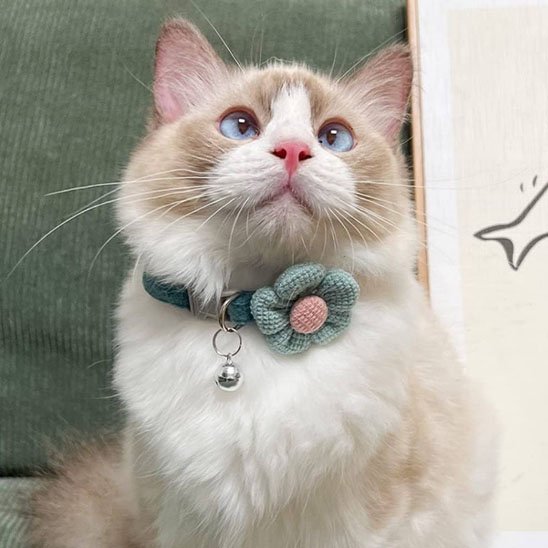 Collier chat fleur verte crochet clochette