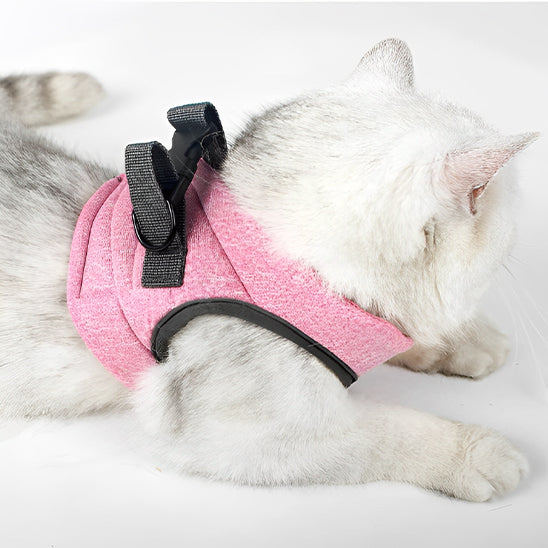 Harnais chat-Minou loft