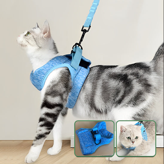 Harnais chat-Minou loft