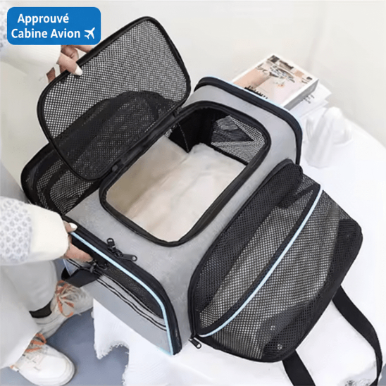 Sac transport chat approuvé cabine avion, badge bleu vif