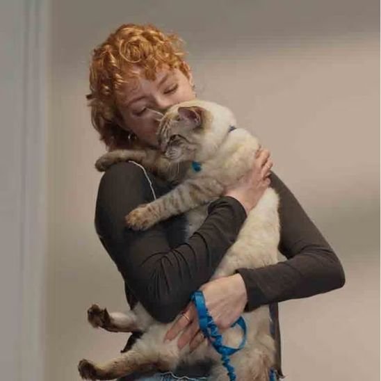 Personne câlinant un chat équipé d'une laisse bleue - moment de complicité et sécurité