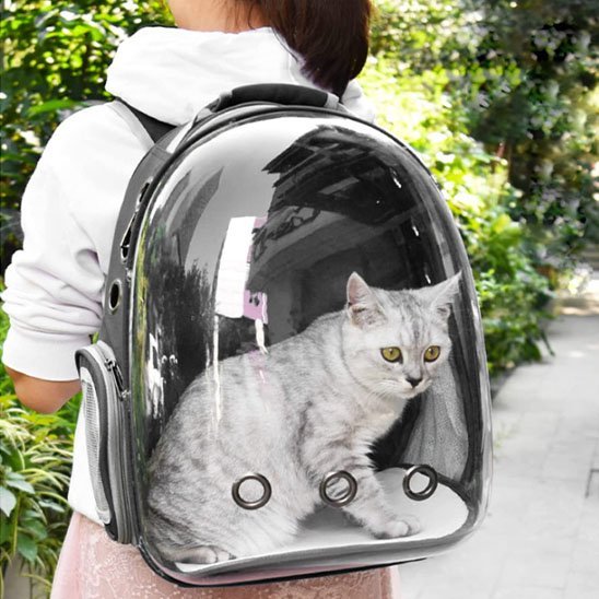 femme extérieurSac transport chat bulle transparente respirant extérieur