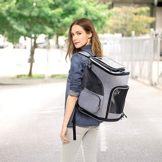 Sac à dos chat voyage.