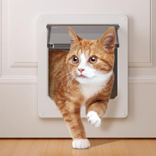 Chat roux passant par une chatière amovible installée dans une porte — solution sans perçage pour locataires