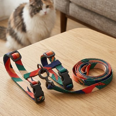 harnais coloré à carreaux sur table