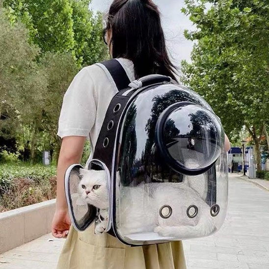 Sac à dos hublot pour chat noir porté en extérieur, chat blanc observant par l'ouverture latérale
