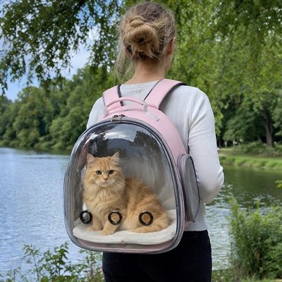 Sac à dos chat hublot rose porté par une femme, chat roux confortablement installé au bord d'un lac