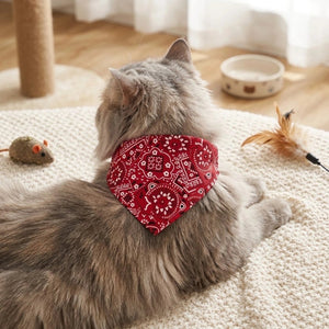 Bandana pour chat rouge à motifs cachemire porté par un chat gris à poil long allongé sur un tapis, entouré de jouets