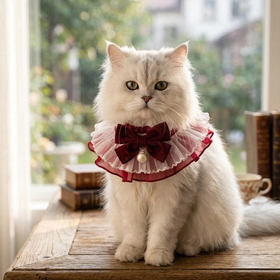  Chat blanc à poil long portant un collier volanté blanc et bordeaux avec nœud en velours et perle, posé sur un meuble en bois