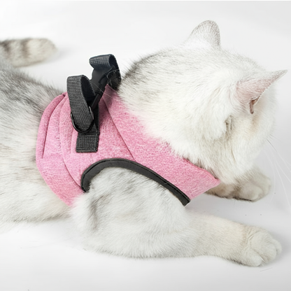 Chat blanc avec harnais rose - format carré