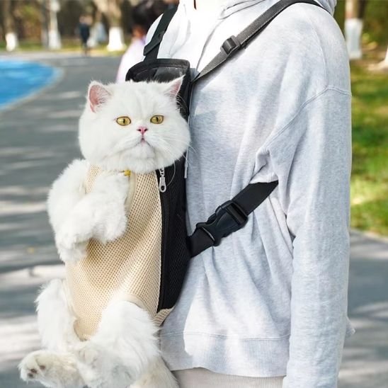 Chat blanc dans un sac de portage ventral beige en maille
