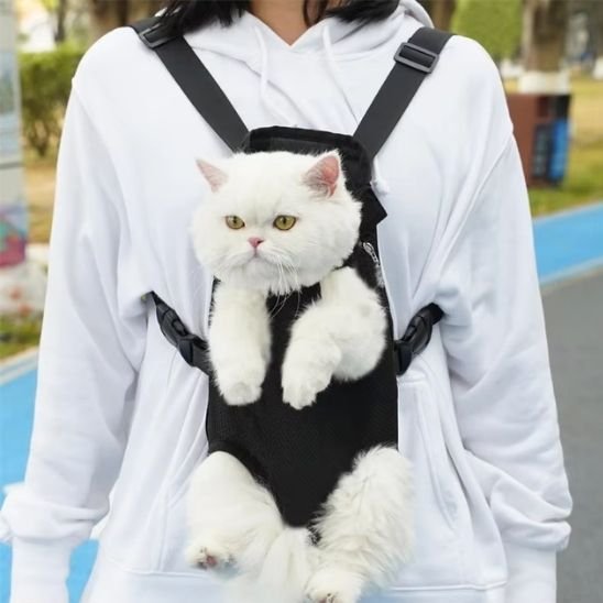 Chat blanc dans un sac de portage ventral noir à bretelles réglables