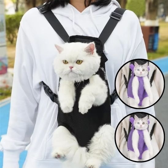 Chat blanc dans un sac de portage ventral noir à bretelles réglables