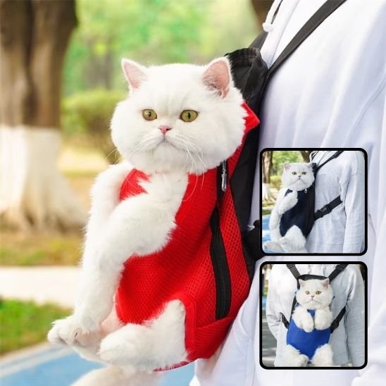 Chat blanc dans un sac de portage ventral rouge en maille aérée