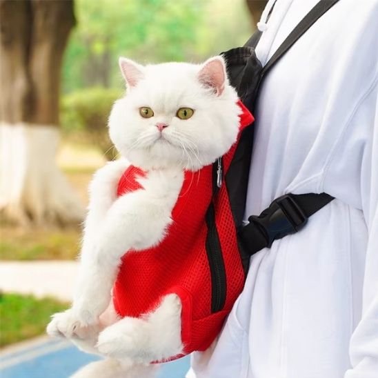 Chat blanc dans un sac de portage ventral rouge en maille aérée