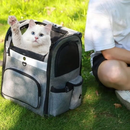 Chat blanc dans un sac de transport pour chat gris posé sur l'herbe