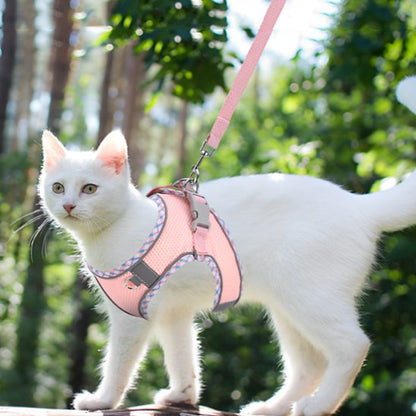 Chat blanc en harnais rose réglable avec laisse pour promenade en parc urbain