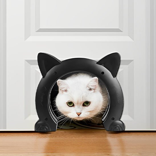 Chat blanc passant à travers une chatière tunnel noire avec oreilles de chat pour accès facile