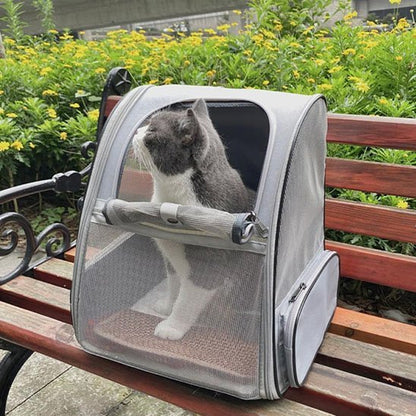 Chat british shorthair gris dans un sac à dos transport mesh gris posé sur un banc