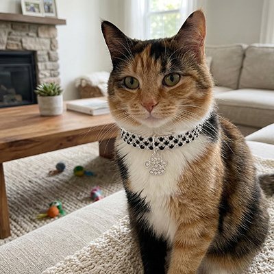  Chat calico collier strass noir pendentif