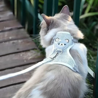 Chat crème en harnais bleu motif ourson pour promenade