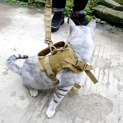 "Chat en laisse avec harnais tactique beige en promenade"