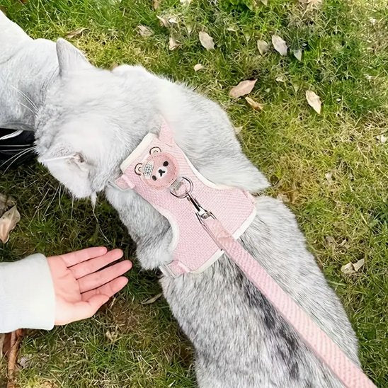 Chat gris allongé dans l'herbe avec laisse rose à motif ourson - moment de détente en extérieur