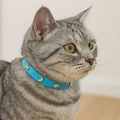 Collier pour chat gris bleu étoiles dorées