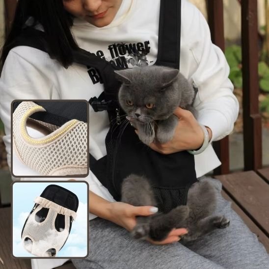 Chat gris dans un sac de portage ventral noir, porté sur le ventre