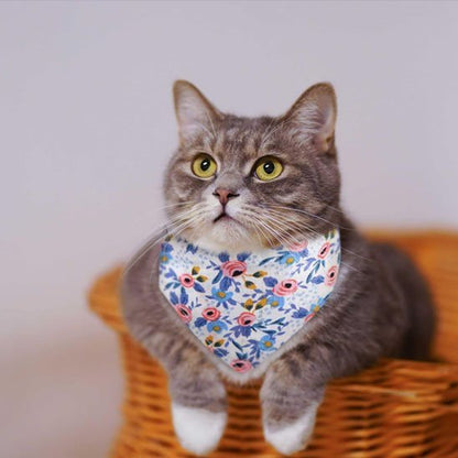 Chat gris tigré portant un collier bandana fleuri bleu motifs roses assis dans un panier en osier