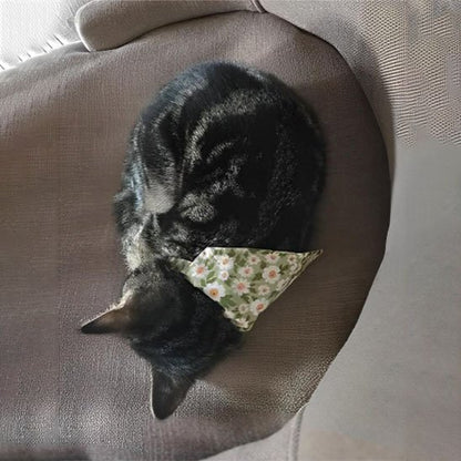 Chat noir endormi portant un collier bandana fleuri vert motifs fleurs blanches sur canapé gris