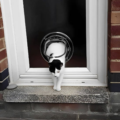 Chat noir et blanc passant par chatière ronde transparente pour porte vitrée
