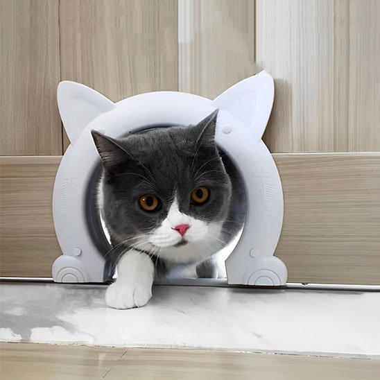 Chat noir et blanc traversant une chatière blanche décorative en forme de silhouette de chat