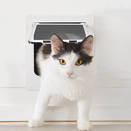 Chat noir et blanc utilisant une chatière blanche encastrée dans un mur