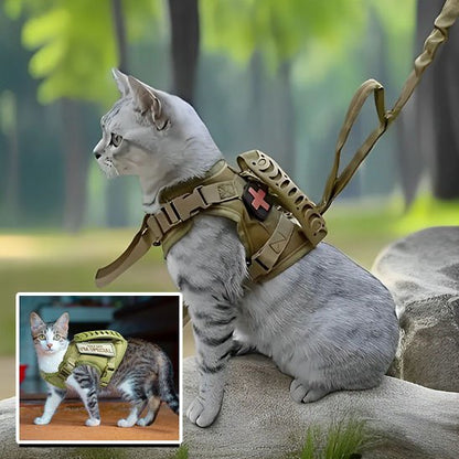 Chat portant un harnais tactique beige avec laisse en extérieur