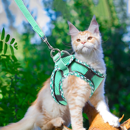 Chat roux en harnais vert respirant avec laisse assortie pour promenade sécurisée