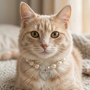 Chat roux portant un collier perles pour chat blanc avec pendentif cœur strass