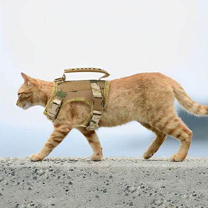 Chat roux portant un harnais tactique beige avec poignée"