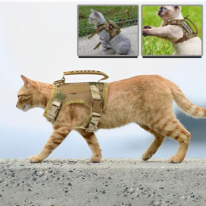 Chat roux portant un harnais tactique beige avec poignée"