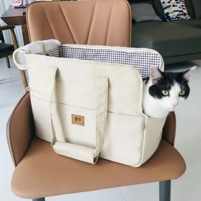 Chat sac de transport beige avec chat noir et blanc sur fauteuil