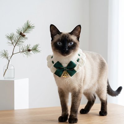  Chat siamois avec collier de Noël vert – accessoire chat élégant