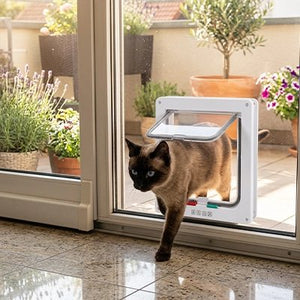 Chat siamois sortant par une chatière blanche sur porte vitrée coulissante