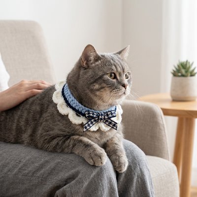 Chat tabby gris avec collier collerette dentelle et nœud pied-de-poule bleu posé sur un canapé