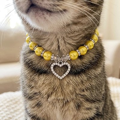 Chat tabby portant un collier perles jaunes pour chat avec pendentif cœur strass argenté