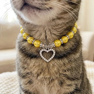 Chat tabby portant un collier perles jaunes pour chat avec pendentif cœur strass argenté