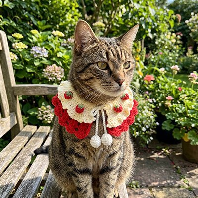 Chat tigré en jardin avec collier chat rouge et blanc à cerises