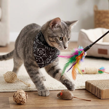 Chat tigré gris portant un bandana pour chat noir à motifs blancs, en train de jouer avec une canne à plumes