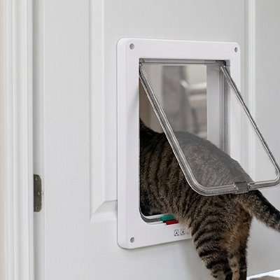 Chat tigré passant par une chatière blanche à verrou 4 positions